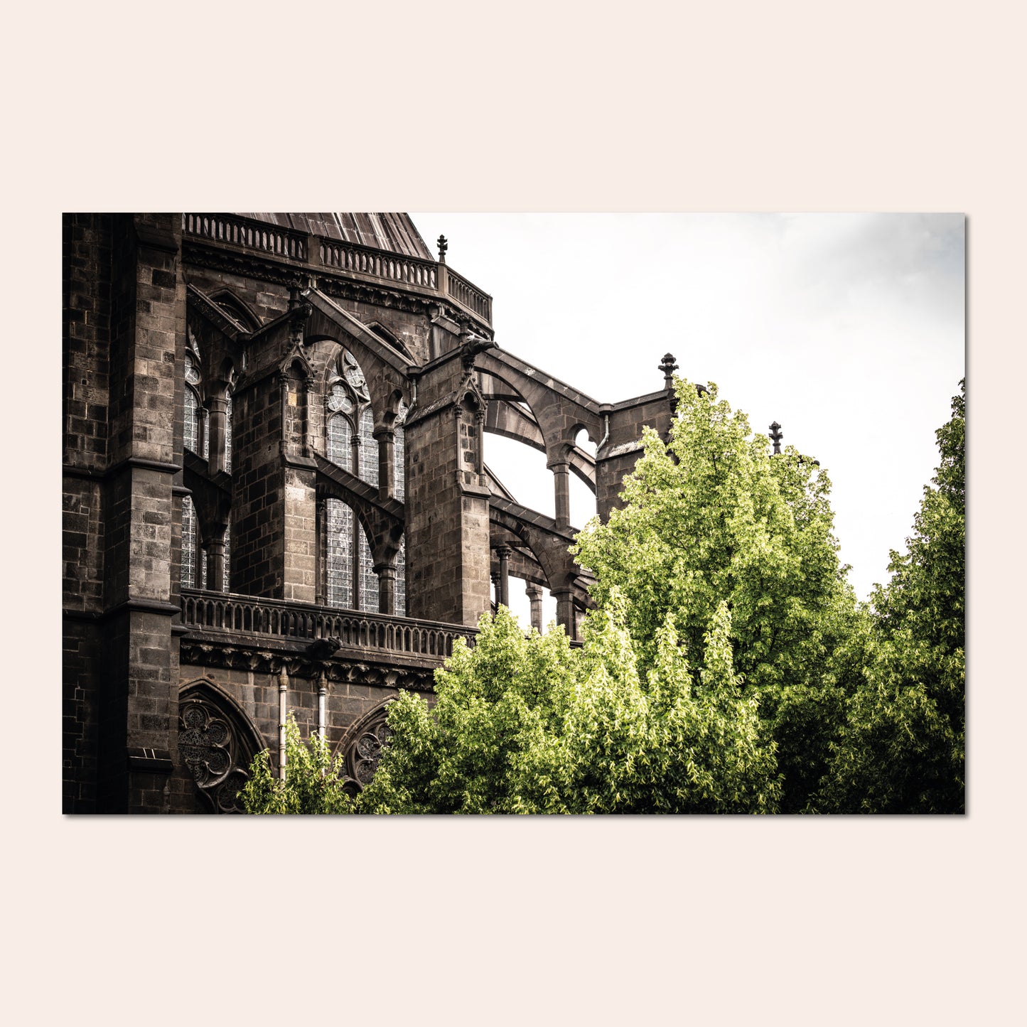 Notre-Dame - Pierre Fauvet