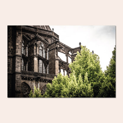 Notre-Dame - Pierre Fauvet