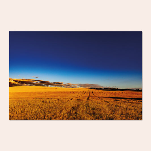 L'éternel recommencement - Pierre Fauvet