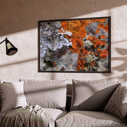 Olbia #2 - Paul Thomas