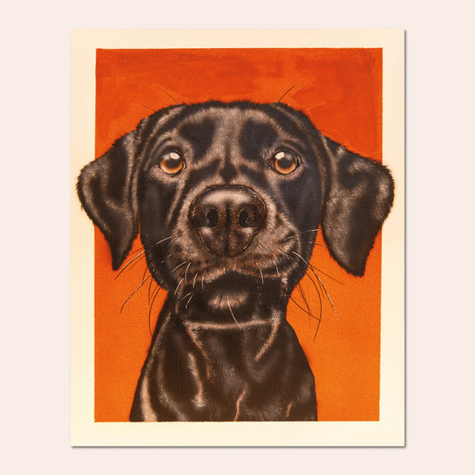 Le labrador - Ady's Art