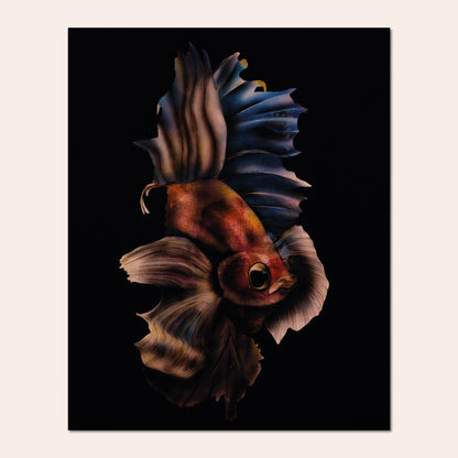 Le poisson - Ady's Art