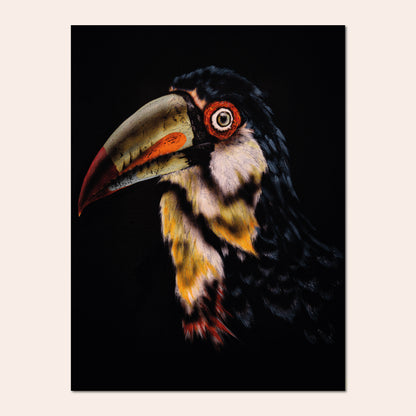 Le toucan - Ady's Art