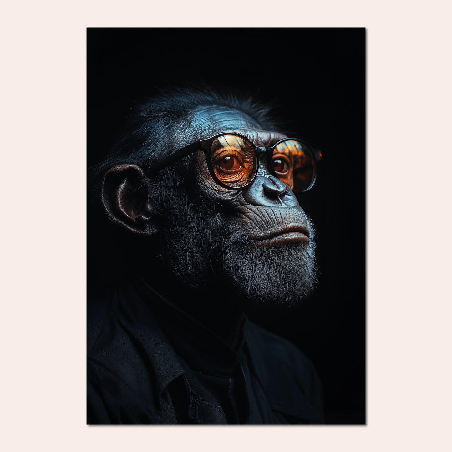 Chimpanzé 286 - Puls