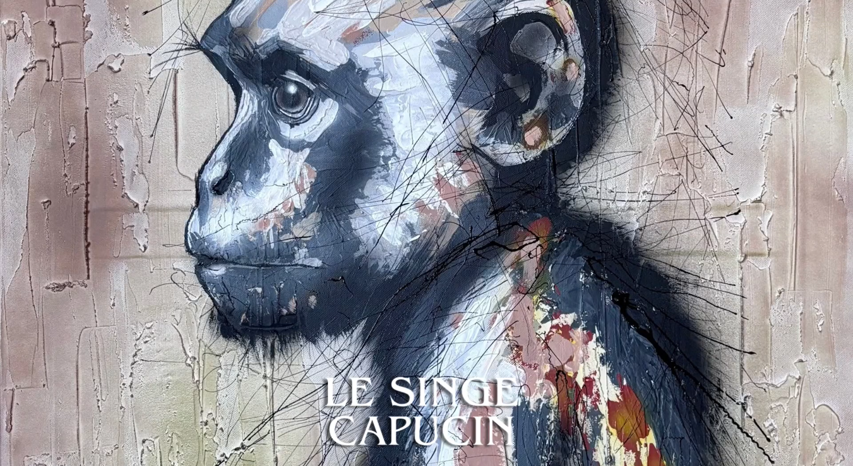 Charger la vidéo : 